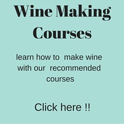 online wine courses